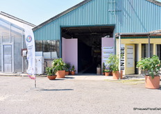 Op weg naar Zonnebloem.